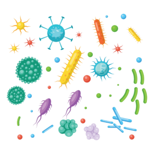 Etude de filtration simple